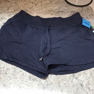 Green Tea Enzyme Wash Blue Shorts size L